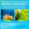 Sea Moss Gummies + Omega-3 For Adult With Ashwagandha, Turmeric, Elderberry, Vitamins D3, B12, Burdock Root & Bladderwrack, Vegan Irish Sea Moss For Immunty, Brain, Energy Boost, Skin Health, 60Cts