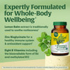 Megafood L-Theanine & Vitamin B Complex - 200 Mg L Theanine Supplement With B Complex Vitamins For Women & Men - Plus Lemon Balm Leaf & Zinc - Vegan, Gluten Free, Non-Gmo - 60 Tablets, 30 Servings