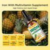 Liquid Iron Supplement For Women Men & Kids Multivitamin Iron Drops With Folate, Vitamin C, B6, B12, Zinc For Anemia, Iron Deficiency, Blood Builder, Energy - Natural Pineapple Flavor, Vegan 4 Fl Oz