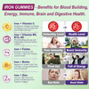 Vegan Iron Supplement Gummies - High Absorption Chelated Bisglycinate Iron With Vitamin C, B-Complex, Folate For Energy, Blood Building Iron Filled Gummies For Adults & Kids - No Aftertaste, 60 Cts