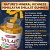 Sugar-Shilajit Gummies 1000 Mg With 85+ Trace Minerals & Fulvic Acid, Pure Himalayan Shilajit Supplement Gummies For Men & Women - Energy, Brain, Immunity - Strawberry Flavor, 120 Count