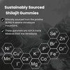 Pure Himalayan Shilajit Resin Potency Gummies Supplement For Men & Women  1000Mg Sugar 85+ Trace Minerals  Immumity, Energy, Vitality & Brain  Natural Raspberry Flavor (60 Count)