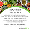 Natures Plus Hema-Plex Iron - 60 Slow-Release Mini-Tabs - 85 Mg Chelated Iron - Total Blood Health - With Vitamin C & Bioflavonoids - Vegan, Gluten - 30 Servings