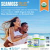 Power By Naturals Sea Moss Plus - Usda Organic Irish Sea Moss Capsules W/Wild Harvested Irish Seamoss, Bladderwrack & Burdock Root Immunity Supplement Sea Moss Pills For Adult 60Ct - 1 Pack