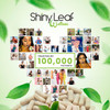 Shiny Leaf Bariatric Multivitamin Iron-Capsules For Post Bariatric Surgery Patients, Once Daily Bariatric Vitamins Without Iron For Wls, Sleeve, Gastric Bypass Surgery (1 Month / 30 Caps)
