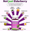 2 Pack Elderberry & Sea Moss Gummies, With Vitamin C, Bladderwrack, Burdock, Echinacea, Immune Support For Women, Men, Adults & Kids, Blueberry Flavor 120Ct
