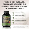 Beet Root Powder Capsules 20X Concentrated 8000Mg Extra Strength Formula, Beetroot Extract, Elderberry With Vitamin C And Zinc, Pomegranate, Grape Seed, Nitric Oxide Supplement - Non-Gmo - Usa Made. Beet Root Powder Capsules 20X Concentrated 8000Mg Extra Strength Formula, Beetroot Extract, Elderberry With Vitamin C And Zinc, Pomegranate, Grape Seed, Nitric Oxide Supplement - Non-Gmo - Usa Made.