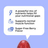 Oh My Vit For Ellos Men’S Multivitamin Gummy With Vitamins C, E, And Zinc, Sugar Berry Flavor, 60 Count