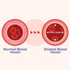 Xtendlife Vasqflow Circulation And Blood Flow Support - Nitric Oxide Supplement To Improve Nitric Oxide, Oxygen Flow, Healthy Blood Pressure & Immunity  100% Vegan, Non-Gmo (90 Count)