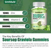 2 Pack Soursop Graviola Gummies - 3000Mg Extra Strength Soursop Leaves Supplement With Vitamin C, Zinc - Digestive Aid, Immune Support & Antioxidant - Sugar-Free, Non-Gmo, Vegan, 120 Counts
