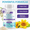 Nad+ Supplement Alternative - Liposomal Nicotinamide Riboside - Resveratrol & Quercetin - High Purity Nad Supplements For Anti-Aging, Focus, Energy 120 Capsules Nad+ Supplement Alternative - Liposomal Nicotinamide Riboside - Resveratrol & Quercetin - High Purity Nad Supplements For Anti-Aging, Focus, Energy 120 Capsules
