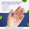 Ez Melts Dissolvable Zinc Supplement 30 Mg, Sugar-Free, 2-Month Supply