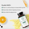 Qualia Nad+ Nicotinamide Riboside Nr Supplement, Can Boost Nad+ Levels Up To 50% With: Nr (Nicotinamide Riboside From Niagen), Niacin & Niacinamide - Vegan (56 Caps), (1 Month Supply)