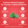 Nutriana Thyroid Support Gummies - Selenium Supplement & Iodine Supplements For Thyroid Support - Energy Booster For Women And Men - Hypothyroidism Supplements With Metabolism Support