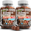 15In1 Mushroom Gummies With Lion'S Mane Turkey Tail Cordyceps Reishi Chaga Sweet Toot Maitake Meshima Poria Cocos Shiitake Tremella, Oyster Agaricus Mushrooms For Men And Women Supplement - 2Pack