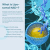 Liposomal Nad Supplement, Highest Nad+ Potency For Anti-Aging, Energy, Focus - 4 Pack