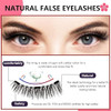 Magnetic Eyelashes, Portable Magnetic Lashes No Glue Or Liner Needed, Reusable Short Magnetic Eyelashes Lashes Natural Eyelash Magnetic Lashes With Clamp（Camellia/1 Sets）