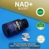 Ageless Nad+ Supplement - Nicotinamide Riboside Supplement For Healthy Aging And Cognitive Function - Promotes Endurance And Energy - 30 Count