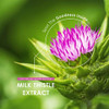 Milk Thistle Extract 7500Mg – 80% Silymarin Content - 120 Vegan Capsules (4 Months Supply) - By Alpha01