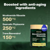 Nad Supplement - Nad Nicotinamide Riboside Resveratrol 900Mg, Liposomal Nicotinamide Riboside 900, Quercetin - High Purity Nad+ Supplement For Energy, Focus - 240 Capsules