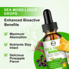 Sea Moss Liquid Drops - Irish Sea Moss 2000Mg With Elderberry, Burdock Root, Bromelain, Vitamin C And Zinc - 98 Essential Minerals Seamoss Supplement For Immune, Joint, Digestion, Aging Support - 2Oz