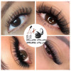Magnetic Eyelashes Without Eyeliner - Reusable Dual Magnetic Lashes With 16 Pairs, No Glue 3D False Eyelashes Kit, Magnetic Eyelashes Natural Look