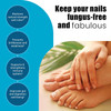 Clear Nails - Extra Strength - Probiotic Fungus Inhibitor - 50 Billion Cfu