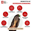 Korean Red Ginseng Extract 240g Jar