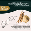 TRIBE ORGANICS Vegan Ashwagandha KSM 66 Pure Organic Root Powder Extract Ayurvedic Supplement 90 Capsules