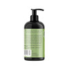 Mielle Organics - Rosemary Mint - Biotin Infused - Encourages Growth Hair Products For Stronger And Healthier Hair - Shampoo &   Conditioner Styling Bundle Set 2 Pcs