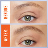 Maybelline Tattoostudio Brow Lift Stick Makeup With Wax Conditioning Complex  Clear  1 Count (Pack Of 2)
