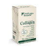 Great Lakes Wellness Collagen Peptides Powder for Skin, Hair, Nails, Joints & Digestion - Unflavored  20 Sticks