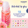 Blossom Scented Roll On Lip Gloss And Juicy Jelly Moisturizing Lip Care Nourishing Lip Oil 2 Pack Watermelon