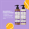 Carol'S Daughter Black Vanilla Sulfate   Shampoo And Conditioner Set For CurlyWavy Or Natural HairMoisturizing Hair Care For DryDamaged Split Ends1 Kit