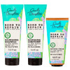 Carol'S Daughter Born To Repair Hair Care Set - Sulfate   ShampooNourishing ConditionerAnd Defining Leave In Cream Kit (3 Products) Made With Shea Butter