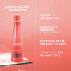 Nexxus Bond Repair Shampoo & Conditioner Bundle Amino Bond 2 Pack For All Types Of Damaged Hair With Keratin Protein And Amino Acids 13.5 Oz