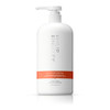 Philip Kingsley Re-Moisturizing Conditioner Smoothing For Curly Frizzy Wavy Dry Coarse Hair Hydrating Conditioner Taming Hydrates Tames And Smooths 6.76 Oz