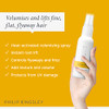 Philip Kingsley   Body Building Volumizing Collection   Includes Shampoo Conditioner Root Boosting Volumizer Spray And Hair Plumping Volume Cream   Lifts Fine Limp Flat Flyaway Hair   Set Of 4