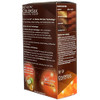 Revlon Colorsilk Hair Color 42 Medium Auburn (Pack Of 2) Revlon Colorsilk Hair Color 42 Medium Auburn (Pack Of 2)