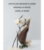 Victoria S Secret Bare Magnolia Eau De Parfum Notes Of Orange Flower Wood & Vanilla Musk Perfumes For Women (3.4 Oz)