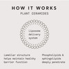 Plant Ceramide Rich Moisture Cream - 1.7 OZ - Plant-Derived Ceramides, Dry Skin Cream