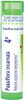 Boiron Passiflora Incarnata 4X For Occasional Sleeplessness 80 Pellets