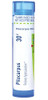 Boiron Pilocarpus 30C Homeopathic Medicine For Hypersalivation 80 Pellets