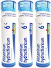 Boiron Histaminum Hydrochloricum 6C Homeopathic Medicine For Allergies Pack Of 3 (240 Pellets)