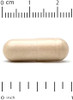 California Gold Nutrition Reishi (Ganoderma Lucidum) Full Spectrum Organic 600 Mg 90 Veggie Capsules