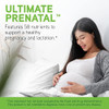 Davinci Labs Ultimate Prenatal Nutritional Supplement With Vitamins Minerals Amino Acids And More 150 Tablets