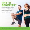 Davinci Labs Phyto Benefits Supports Heart Brain & Immune Health Glp1 Production & More With Curcumin Quercetin Green Tea & More Vegetarian Gluten Soy 30 Capsules