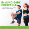 Davinci Labs Immunodmg Chewable With Elderberry And Vitamin D3 Dietary Supplement To Support Cell And Immune Health With Vitamin C D3 E Black Elderberry Dmg And More 120 Chewable Tablets