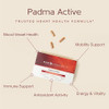 Econugenics Padma Active For Women & Men: Vitamin C Supplement For Collagen Formation Energy Levels And Immune System Cellular & Antioxidant Support Tibetan Recipe Of Natural Herbs & Minerals