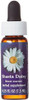 Flower Essence Services Fes Quintessentials Dropper Shasta Daisy Supplement 0.25 Ounce